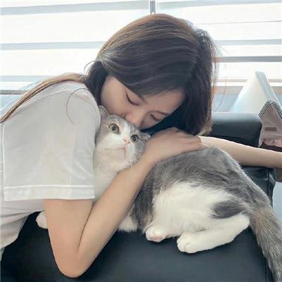 鱼跃在花见 在线观看封面