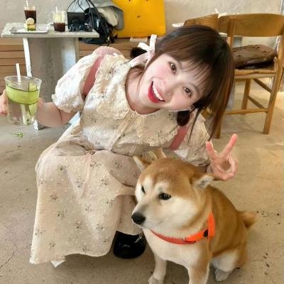 八面玲珑的申小姐 在线观看封面