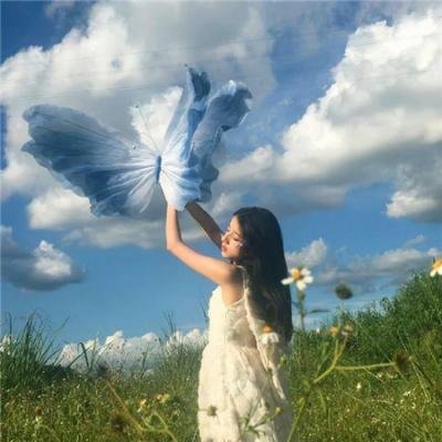 监察局长 在线观看封面